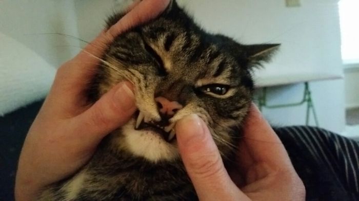 Smile For The Camra!!!!!