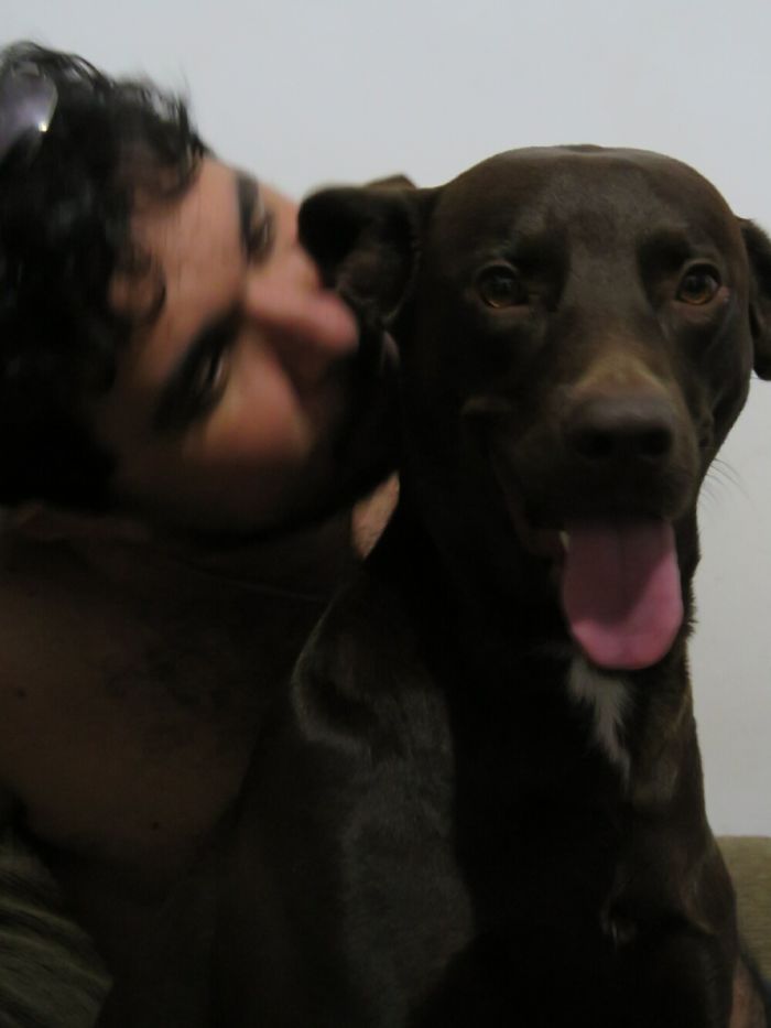 Toby, The Dog, Loves It.