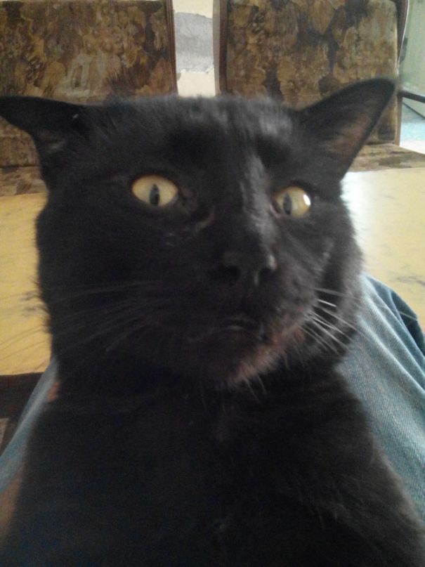 That Looks Scares Me