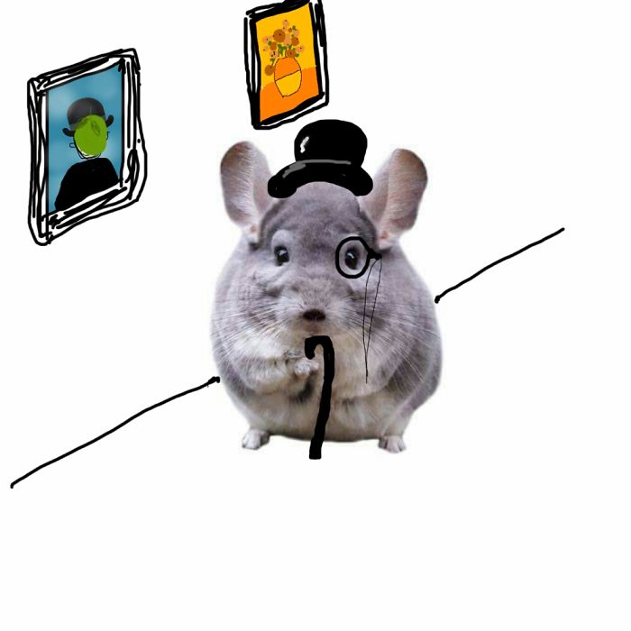 Higher Society Chinchilla Gentelman Treats Himself To Some Art