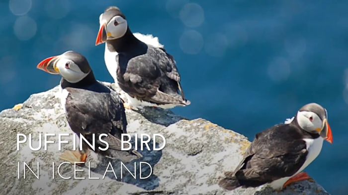 /travel/ 17 Images That Will Make You Want To Explore Iceland Right Now