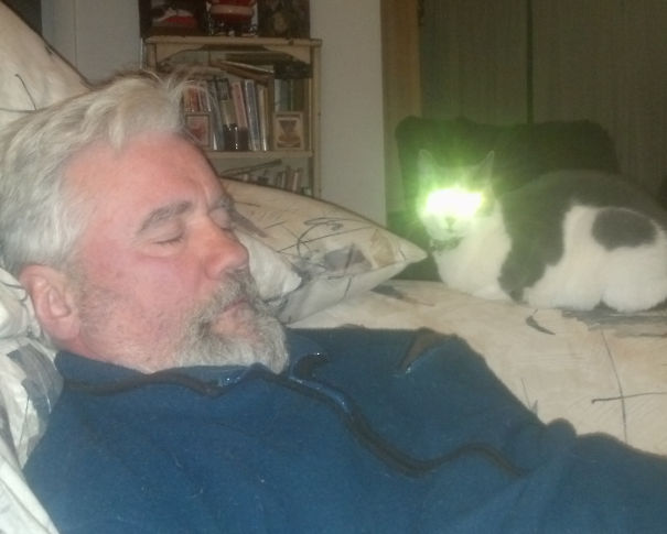 Downloading My Orders.