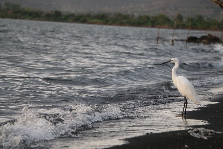 A Visit To Gwassi In Kenya