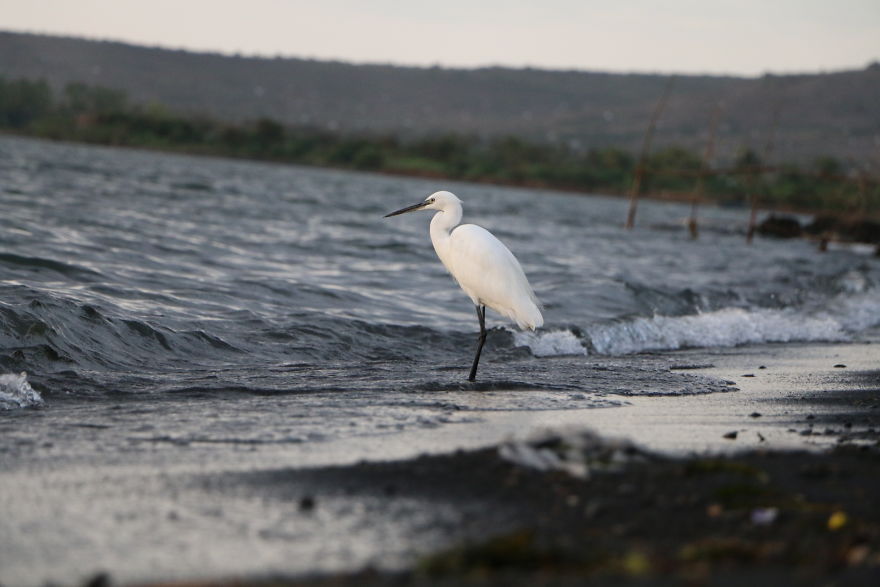 A Visit To Gwassi In Kenya