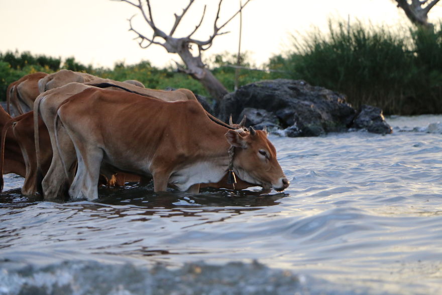 A Visit To Gwassi In Kenya