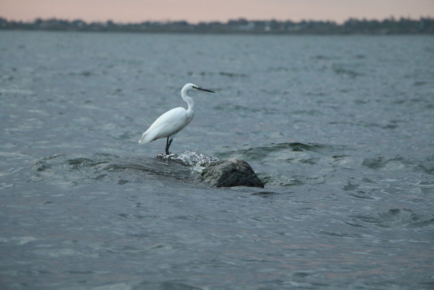 A Visit To Gwassi In Kenya