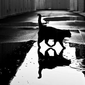 maxine_pendras avatar