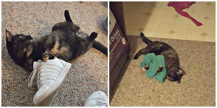 Likes To Dress Herself