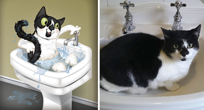 Lambo Is Always In The Sink