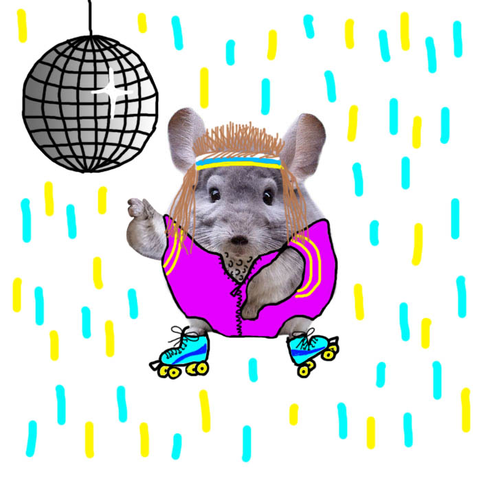 Disco Chinchilla Back In The 80s