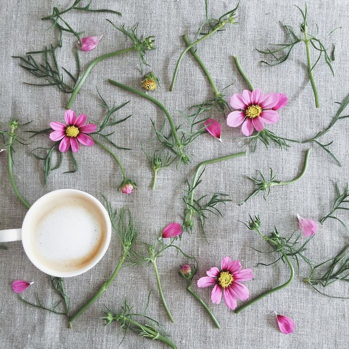 Flower Coffee Compositions