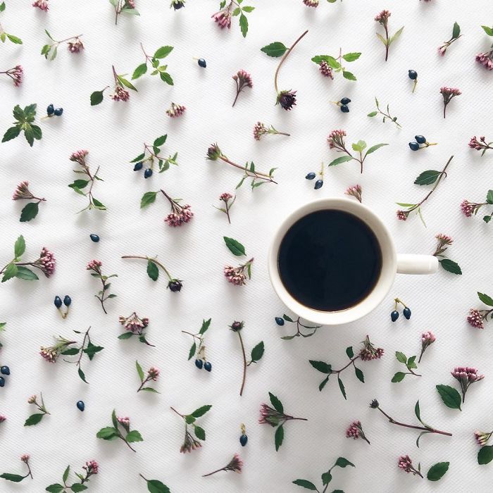 Flower Coffee Compositions