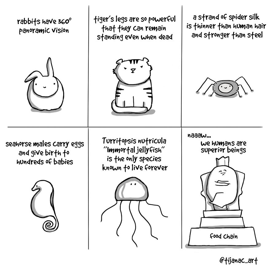 Life As A Beautiful Struggle Depicted In Short Comics