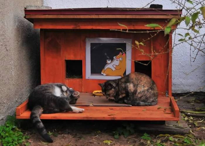We Built Tiny Houses For Homeless Cats In Riga To Help Them Survive Winter