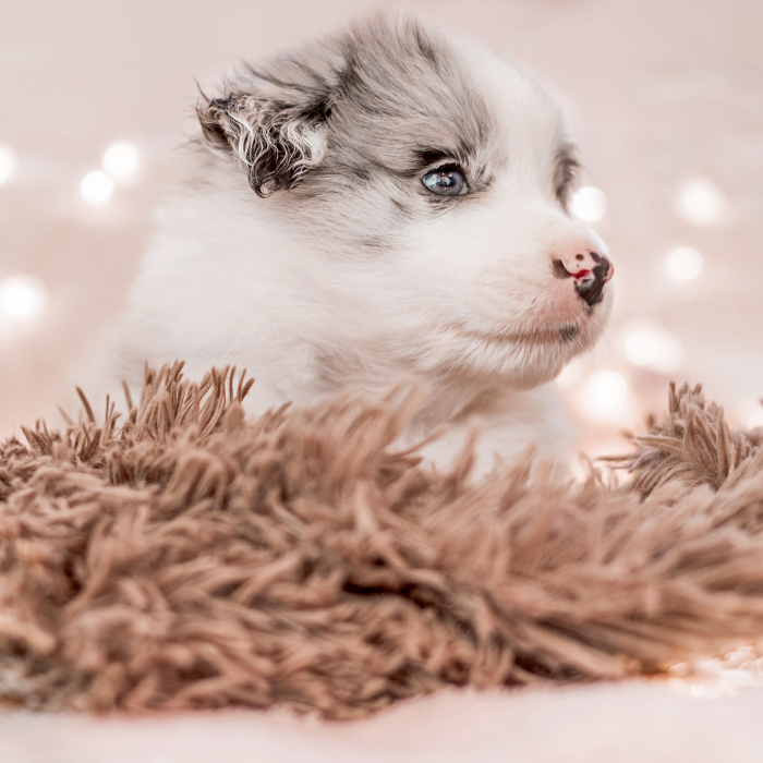 I Took Some Photos Or Adorable Babies With Little Paws