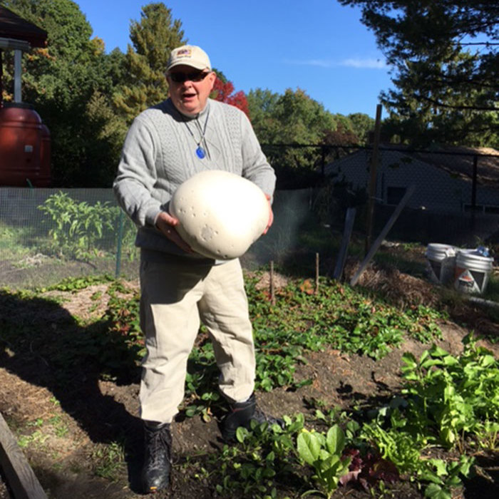 Biggest Mushroom Ever That Grew On Our Organic Farm