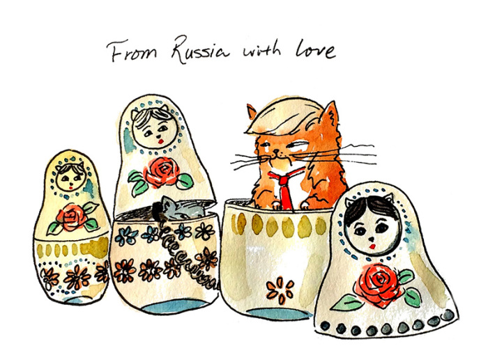 The Adventures Of President Trumpy Cat