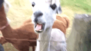 It's Hot Hot Hot Hot Hot