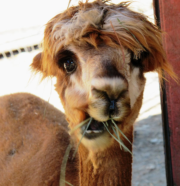 Always Happy To See A Camera