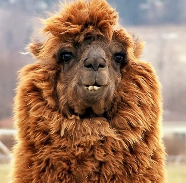 That Beautiful Smile