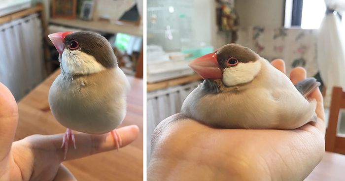 154 Animals That Just Melted (Our Hearts)