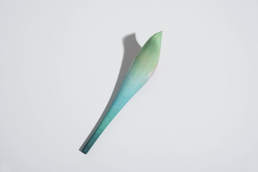 Mexican Artist Dips Wooden Birds Into Watercolor To Recreate The Look Of Local Birds Mexican Artist Dips Wooden Birds Into Watercolor To Recreate The Look Of Local Birds