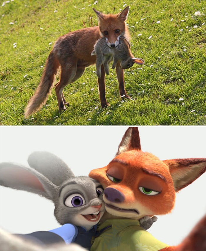 Real Life Zootopia