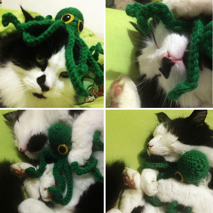 I Crocheted An Octopus And Tried To Annoy My Cat With It. It Didn't Work