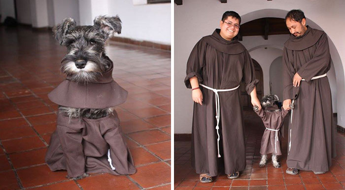 Este monasterio ha adoptado a un perro callejero, y ahora disfruta su vida como monje