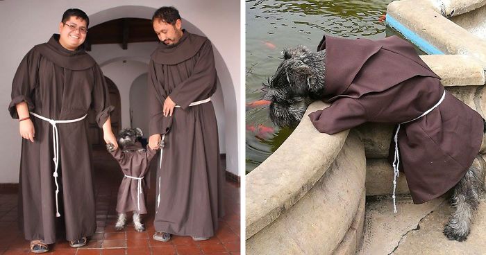 This Monastery Adopted A Stray Dog, Now He Enjoys His Life As A Monk