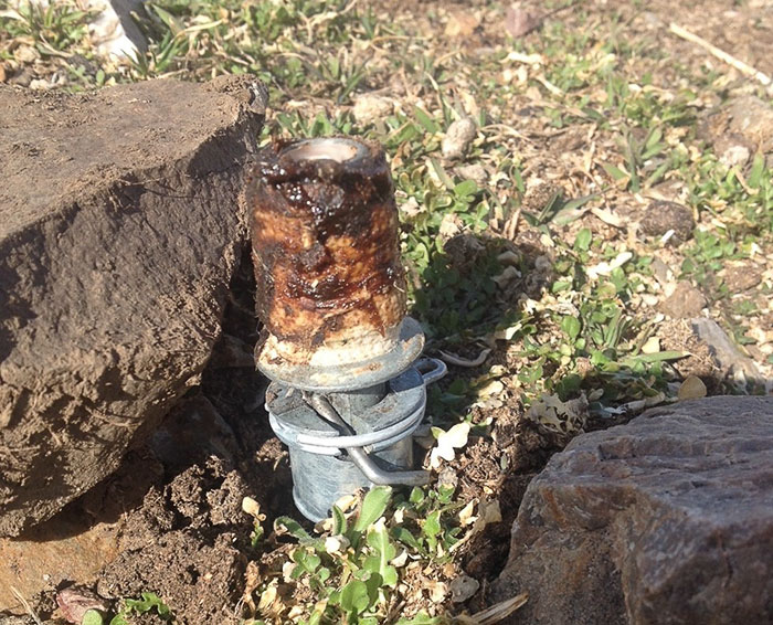 A Tool Planted By The US Government Just Killed This Family&rsquo;s Dog &ndash; And It Could Have Killed Their Son