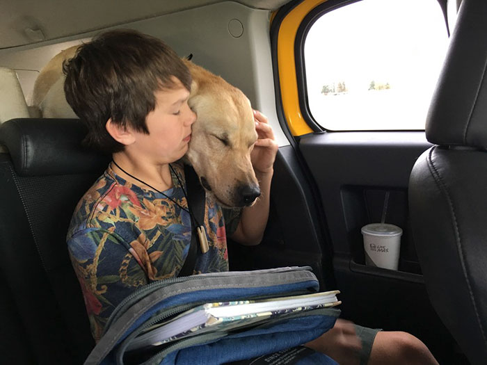 A Tool Planted By The US Government Just Killed This Family&rsquo;s Dog &ndash; And It Could Have Killed Their Son