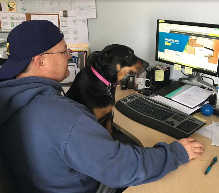 dog-wins-best-employee-awards-meeka-4