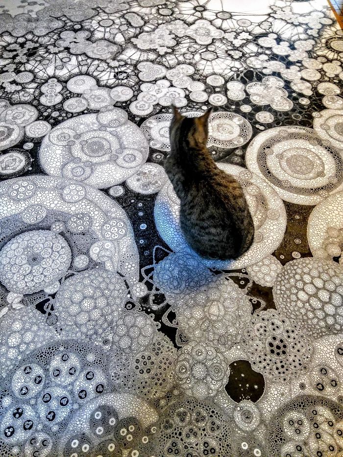 Intricate Drawings That I Create On Any Kind Of Surface