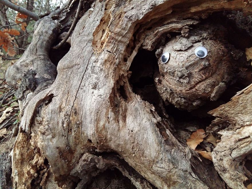 Eyebombing Bulgaria - Humanisation Of The Streets And The Environment