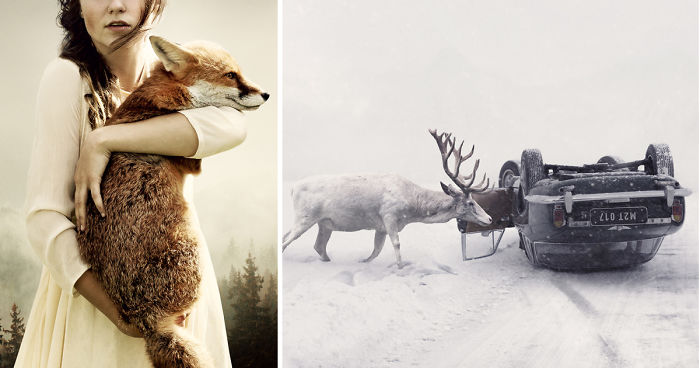 How I Turned Rescued Wild Animals Into Art