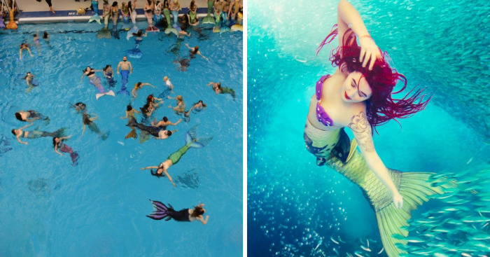 Over 300 People Gather To An International Mermaid Convention
