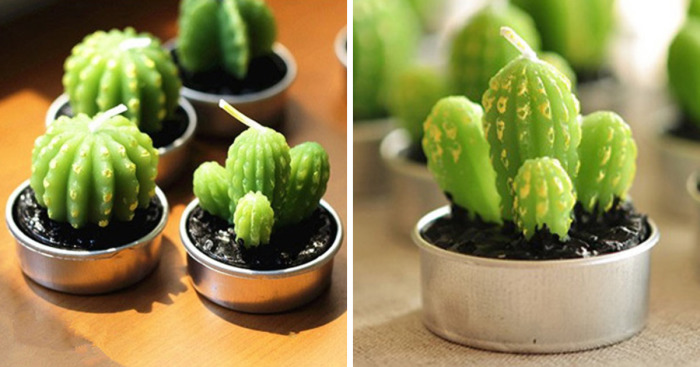 We Create Succulent-Shaped Candles