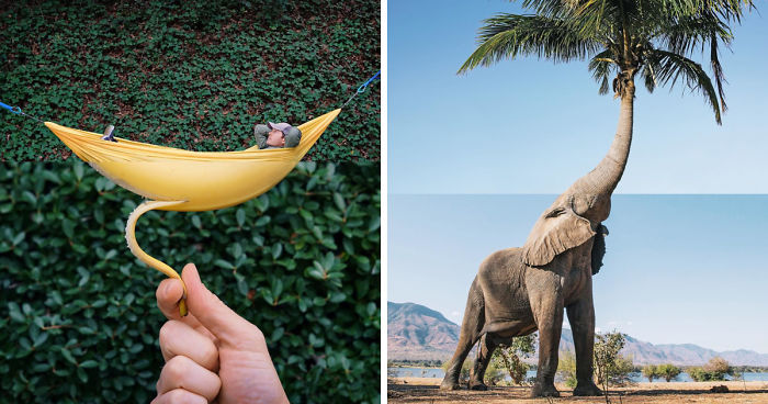 Unexpected And Hilarious Photography Mashups