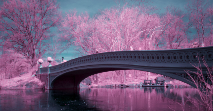 I Captured How New York Would Look Like If You Saw It In Infrared