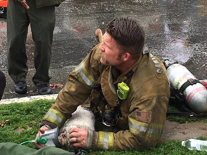 Firefighter Won't Let This Dog Die After Pulling Him From A Burning Home, Performs Mouth-To-Mouth