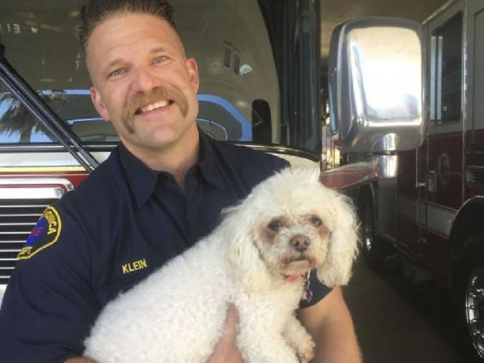 Firefighter Won't Let This Dog Die After Pulling Him From A Burning Home, Performs Mouth-To-Mouth Firefighter Won't Let This Dog Die After Pulling Him From A Burning Home, Performs Mouth-To-Mouth