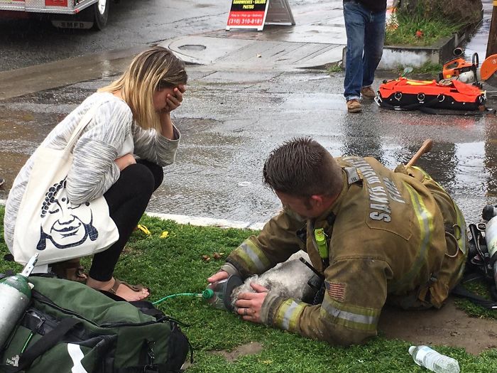 Firefighter Won't Let This Dog Die After Pulling Him From A Burning Home, Performs Mouth-To-Mouth Firefighter Won't Let This Dog Die After Pulling Him From A Burning Home, Performs Mouth-To-Mouth