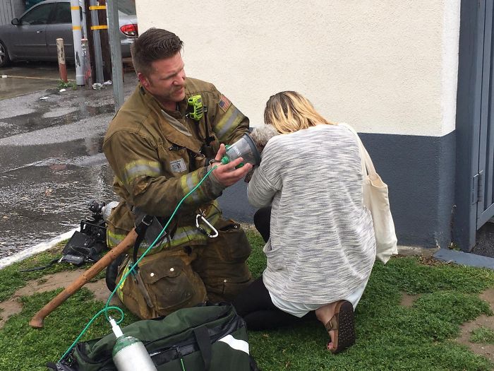 Firefighter Won't Let This Dog Die After Pulling Him From A Burning Home, Performs Mouth-To-Mouth Firefighter Won't Let This Dog Die After Pulling Him From A Burning Home, Performs Mouth-To-Mouth