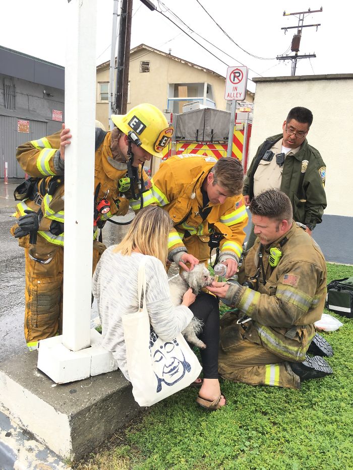 Firefighter Won't Let This Dog Die After Pulling Him From A Burning Home, Performs Mouth-To-Mouth Firefighter Won't Let This Dog Die After Pulling Him From A Burning Home, Performs Mouth-To-Mouth