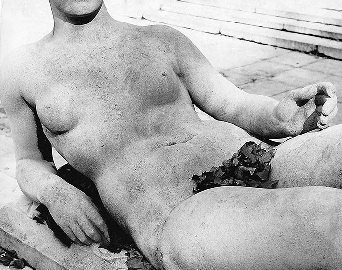 Photography By Rene Maltete