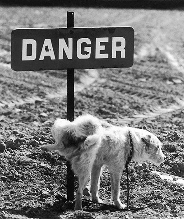 Photography By Rene Maltete