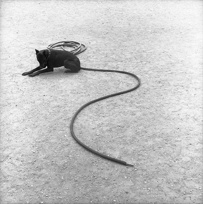 Photography By Rene Maltete