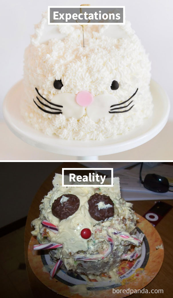 cute bunny cake (up), horrible bunny cake (down)
