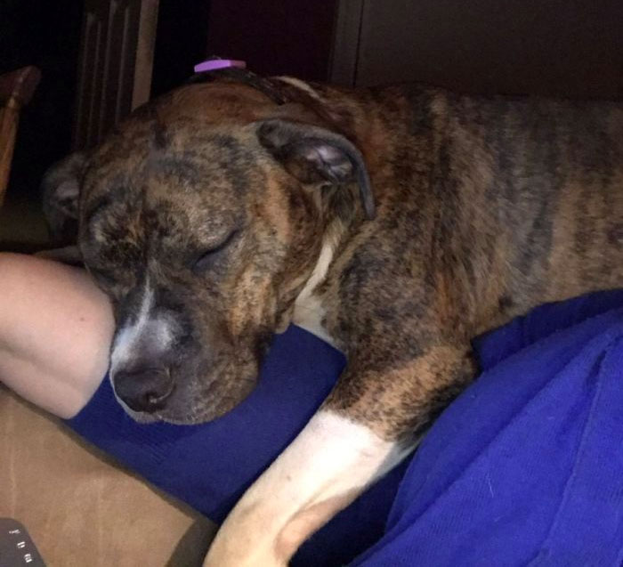 Viciously Trying To Make My Arm Fall Off. Truly A Monster